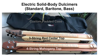 Electric Solid-body Dulcimer (2x4)